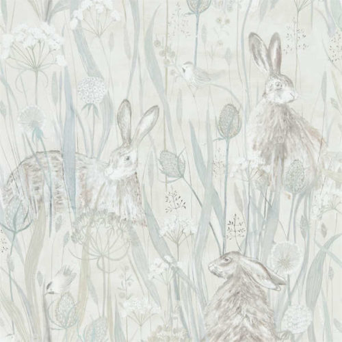 Dune Hares 216518